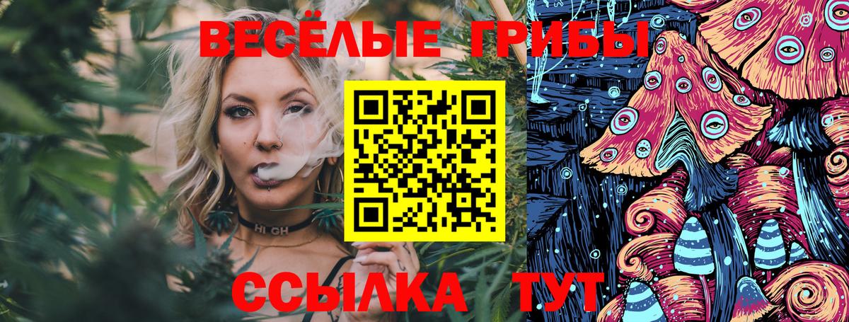 Йошкар-Ола  Галлюциногенные грибы мухоморы  Вход с VPN  Галлюциногенные грибы Cubensis 