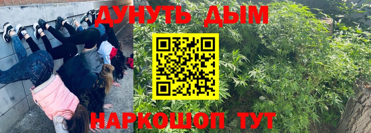 Йошкар-Ола  Шишки марихуана SATIVA & INDICA  Вход с VPN  Каннабис сатива 